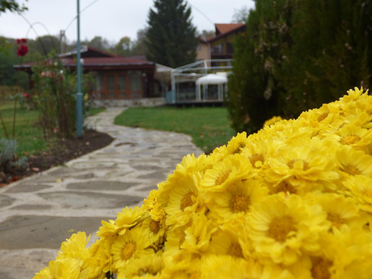 Kovanlika Hotel Razgrad エクステリア 写真